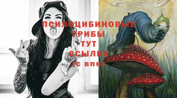 прущая мука Абаза